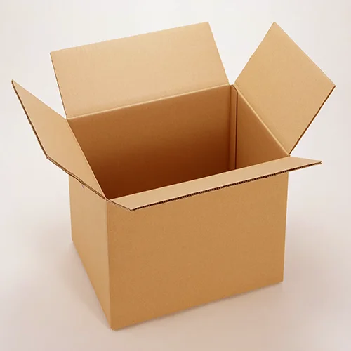 Heavy-Duty Shipping Box